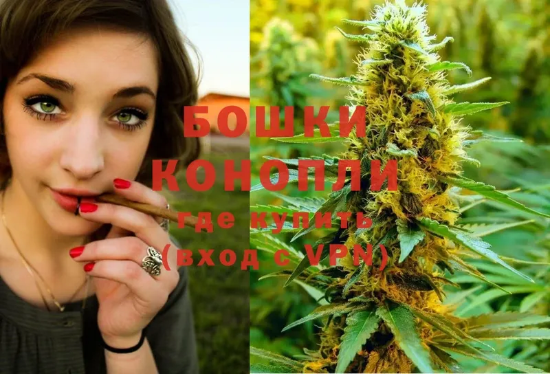 Конопля SATIVA & INDICA  закладки  Норильск 